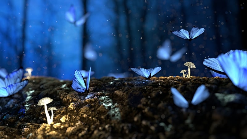 Enchanted narratives